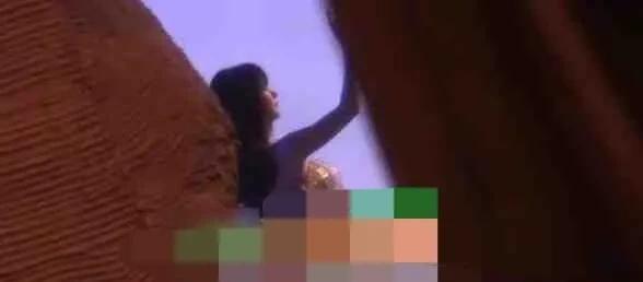 娱乐圈吃瓜爆料的小说小香猪推荐